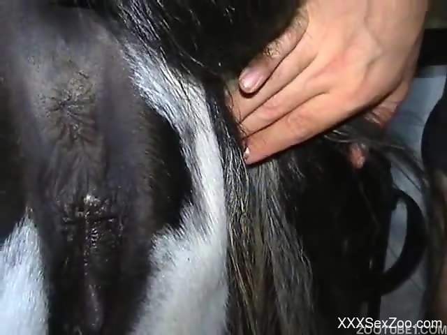 Dude is ready to gape a mare's hot pussy from behind