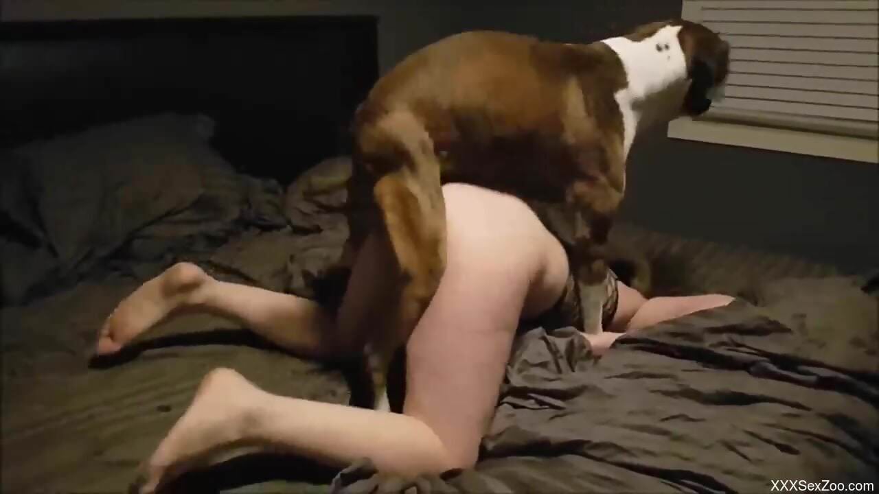 Sensual woman gets dog fucked in home alone zoophilia
