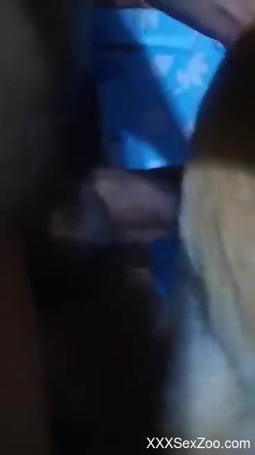 Man humps dog's tight pussy in excellent home display