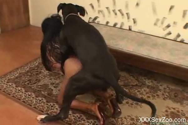 Tanned woman enjoys full dog cock in smashing zoo XXX