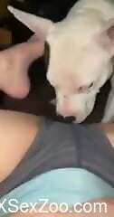 Dog licks woman's wet cunt until she comes like a slut