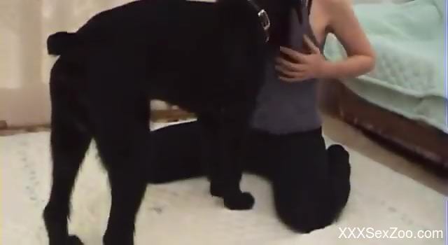 Masked hottie gets ready to suck a dog's cock