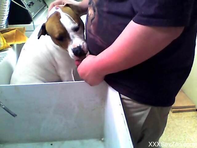 Horny man wants to push his whole dick in the dog's mouth