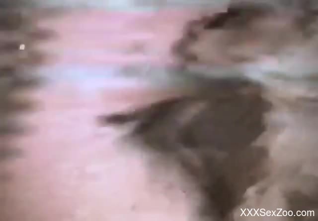 Hot lady enjoys the taste of that animal's penis