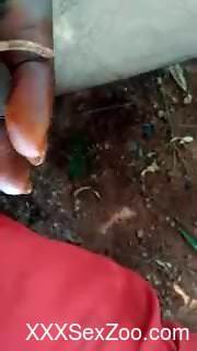 Warm crawls over his dick while the dude masturbates