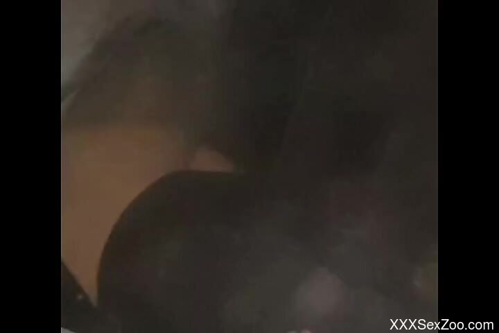 Huge cock of a horny beast fucking that opening