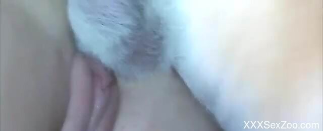 Dog fucks sexy woman's pussy and ass in loud homemade kinks