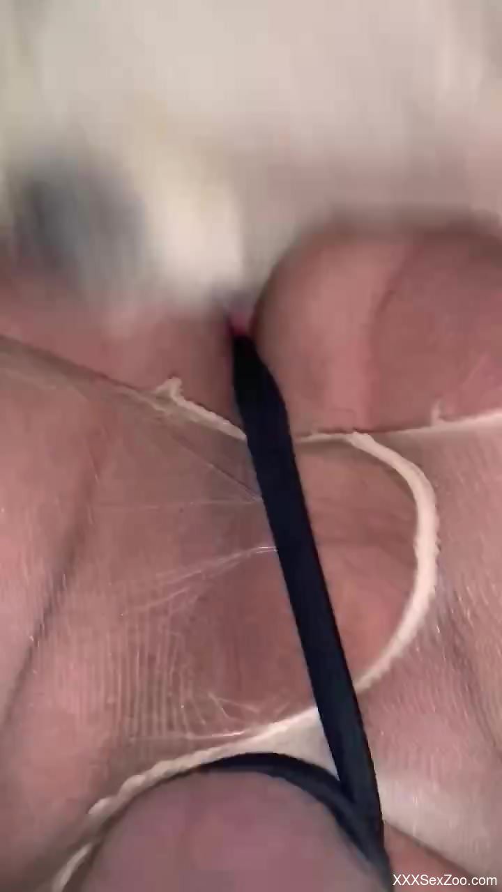 Dog dominates a dude that loves wearing pantyhose