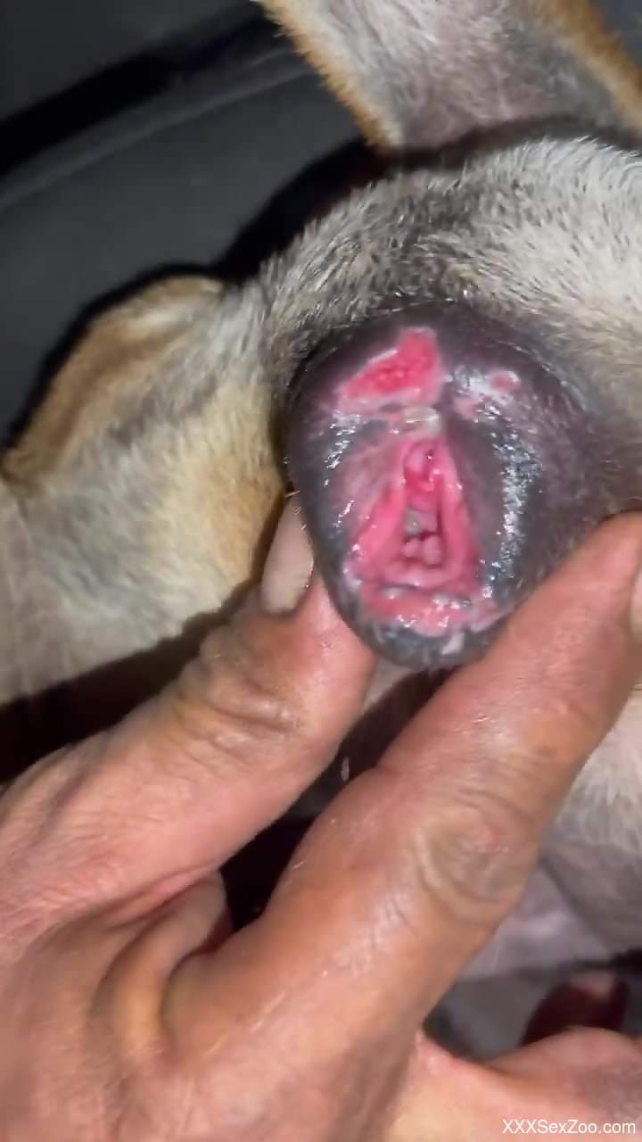 DEep animal porn once the black dude starts fucking his dick