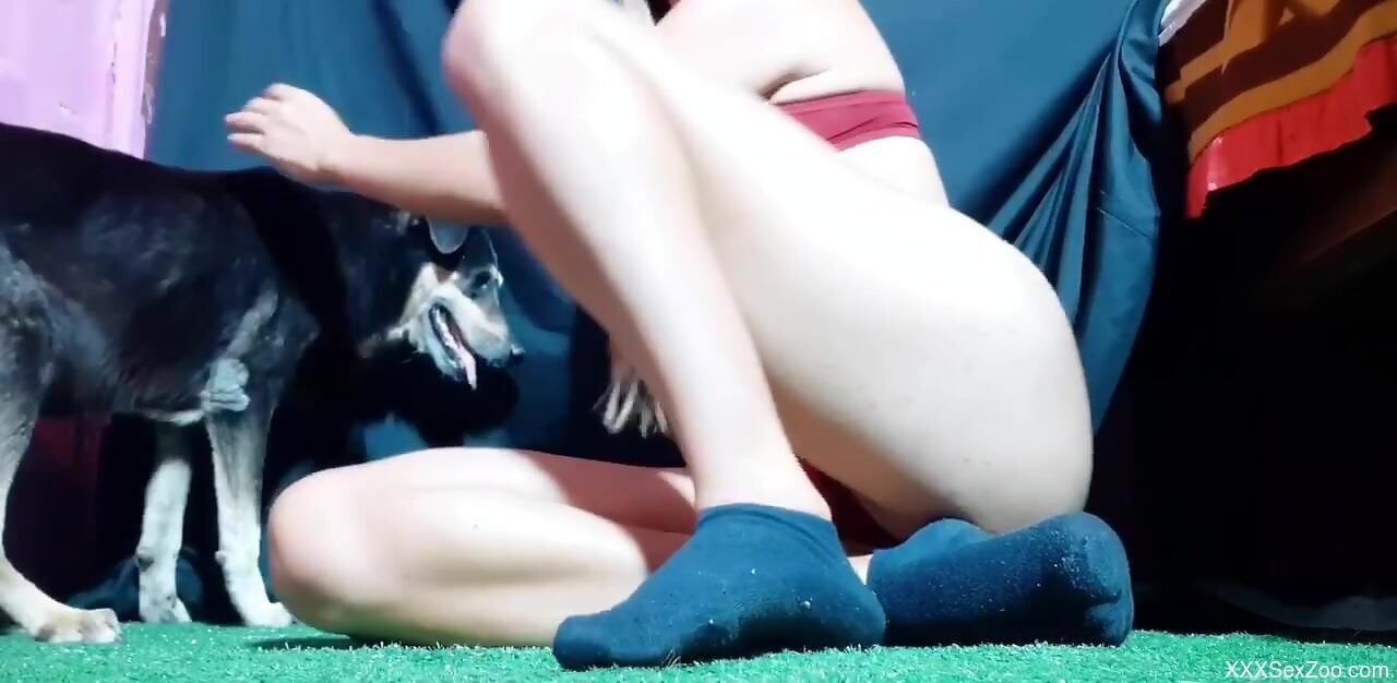 AMateur chick strips naked on cam to fuck with her furry dog