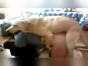 Mature Woman Fucked by Dog: Hardcore XXX