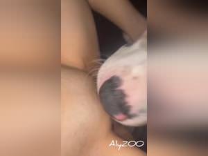 Dog sex, bitch enslaved by animal