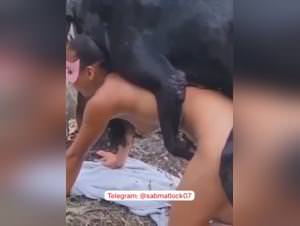Savage Dog Sex, Wild Mate