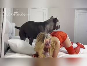 Valentine bestiality, raw dog sex, extreme xvideos