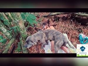 Girl sucks dog - Animal sex videos and beastiality at AlisonProd.com