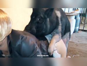 Compilations of beasts and sluts: Extreme Zoophilia Video