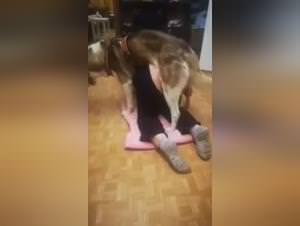 Woman Dog Sex - Extreme Videos