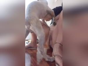 Solo at Home: Girl Fucks Dog XXX