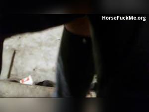 Milf ridden by stallions in the stable