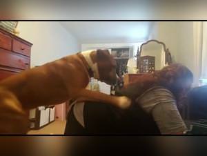 Fucking My Dog: Intense Bestiality Porn