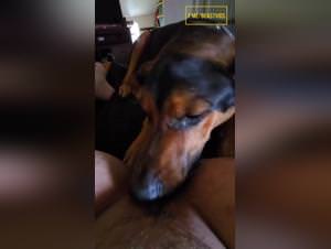 Slut Licks Dog Part 1