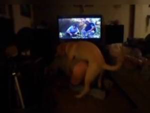 Milly Dog Fuck, Extreme Sex Scenes