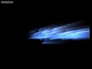 Ruth's brazilian beastly pleasures dog