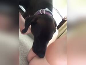 Milly Dogsex Extreme