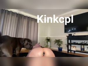 Tier pornos and animal sex, Russia's best animal videos