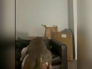 Beastiality Comics: Animal Fucking Frenzy with a She-Devil and her Pit Bull