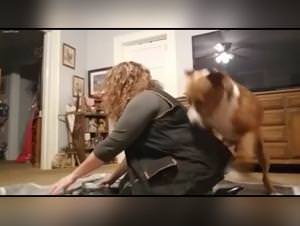 Pornsocket Beast, Tiktok Teen Fucked Dog - Hot Animal Tube Sex Video