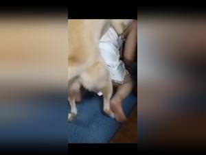 Marital taboo: dog sex, wife's desires unleashed