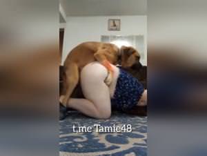 Dog pounding my fat ass, bestiality porn