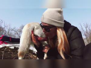 Muvisex : zoofilialovers fantasies