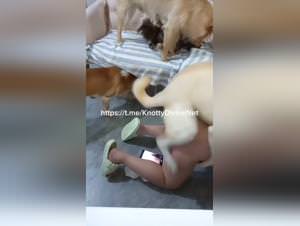 Wild dog sex fantasy