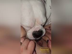 Dogfucking, hardcore fetish action