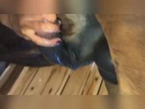 Dirty Whore Gets Fucked By Dog - Explicit Video