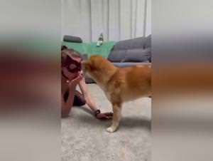 Hund Frau Fickt: Inna's Beastality Frenzy - Lurextv