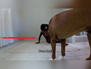 Trans woman wild dog sex, intense passion