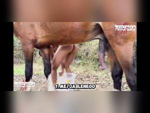 Milly Horse Sex - Wild Ride