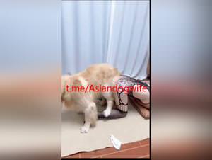 Asian wife mercilessly fucks her dog
