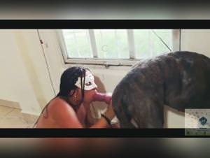 Dog fucking, Extreme Zoophile Porn Videos