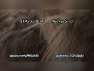 Dully's Girl First Time with Dog