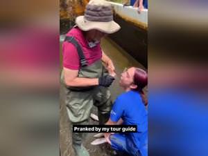 Fish Sperm, Primal Animal Lust