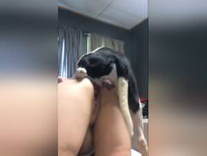 White whore wife dog fucks family