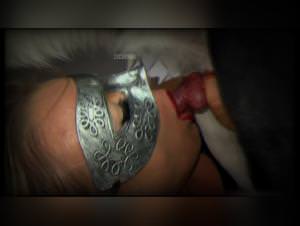 Blonde nymphomaniac deepthroat dog cock frenzy