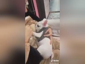 Asian Shemale Feeds Her Dog, Extreme XXX Part 1