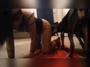 Girl Devours Dog Desire