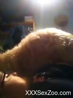 Furry creature fucking a submissive lady for the cam