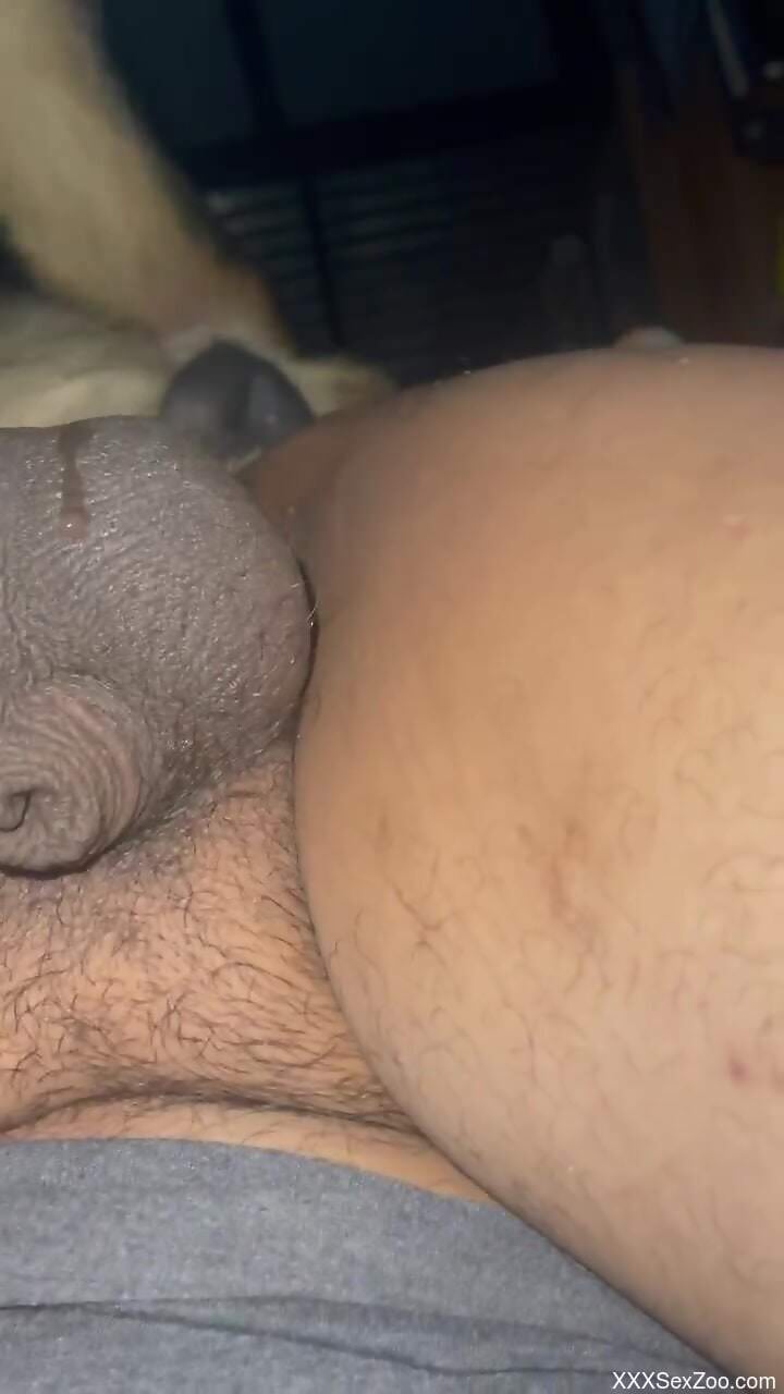 Dude is ready to let the dog dick leak all over